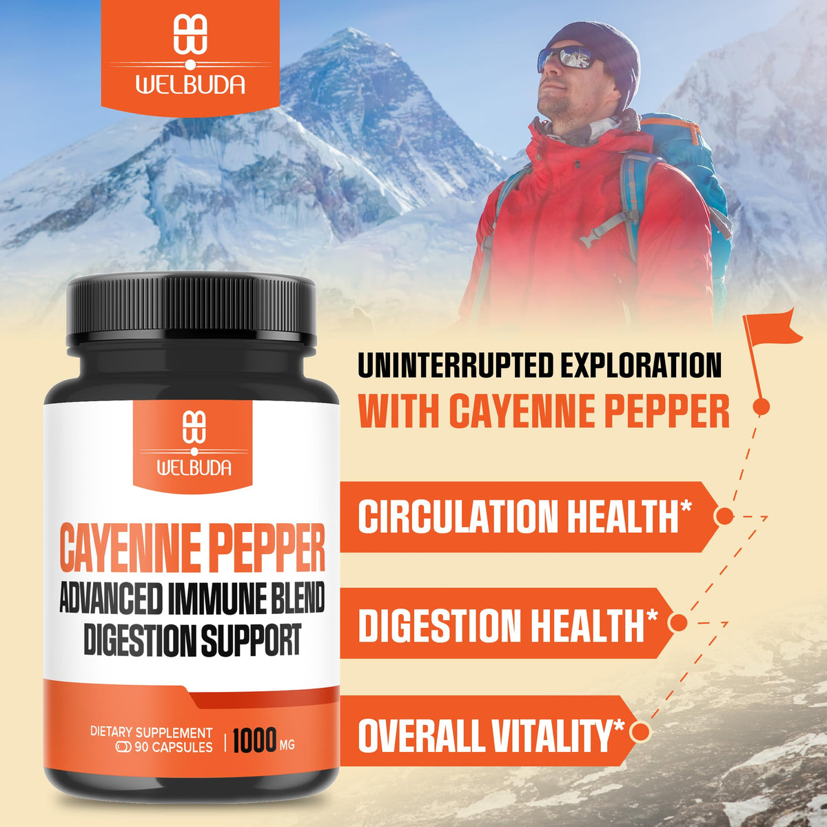 Détail des ingrédients des capsules de poivre de cayenne WELBUDA
