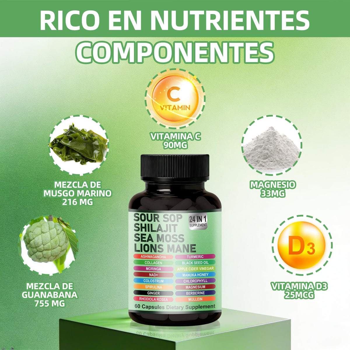 Détail des ingrédients des capsules Graviola 24-en-1 de TENTOOL