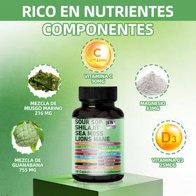 Détail des ingrédients des capsules Graviola 24-en-1 de TENTOOL