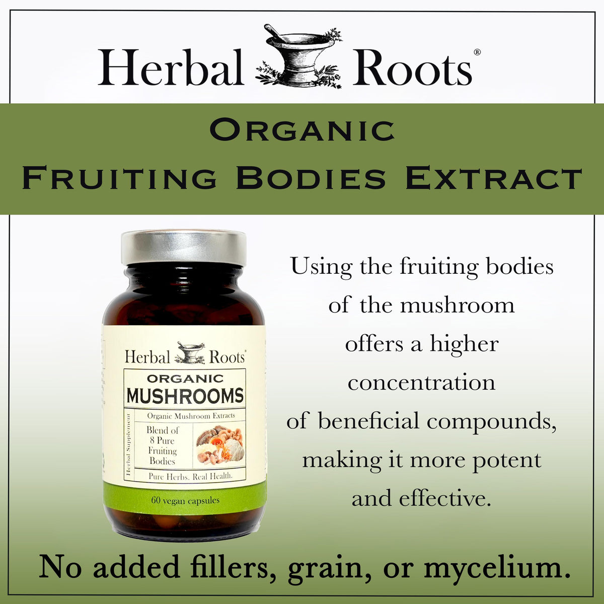 Détail des ingrédients des capsules Herbal Roots