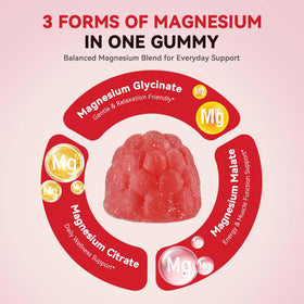 Détail des ingrédients des gummies Aibiodi de magnésium glycinate
