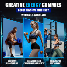Détail des ingrédients des Gummies de Créatine Novure