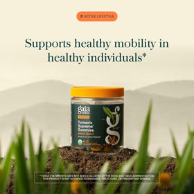 Détail des ingrédients des gummies Gaia Herbs Curcuma Suprême