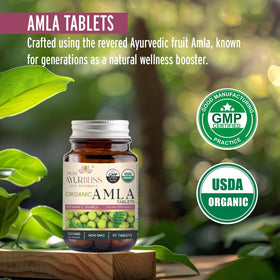 Détail des ingrédients des tablettes Amla bio