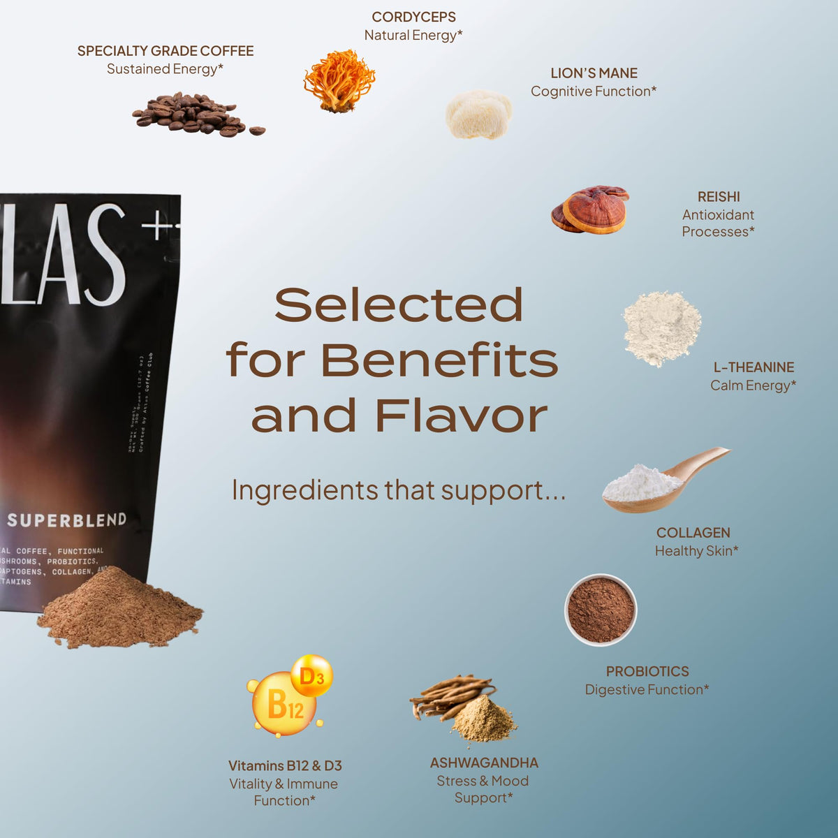 Détail des ingrédients du Café aux Champignons Superblend Atlas