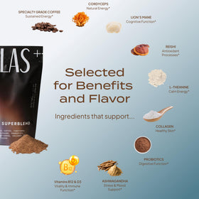 Détail des ingrédients du Café aux Champignons Superblend Atlas