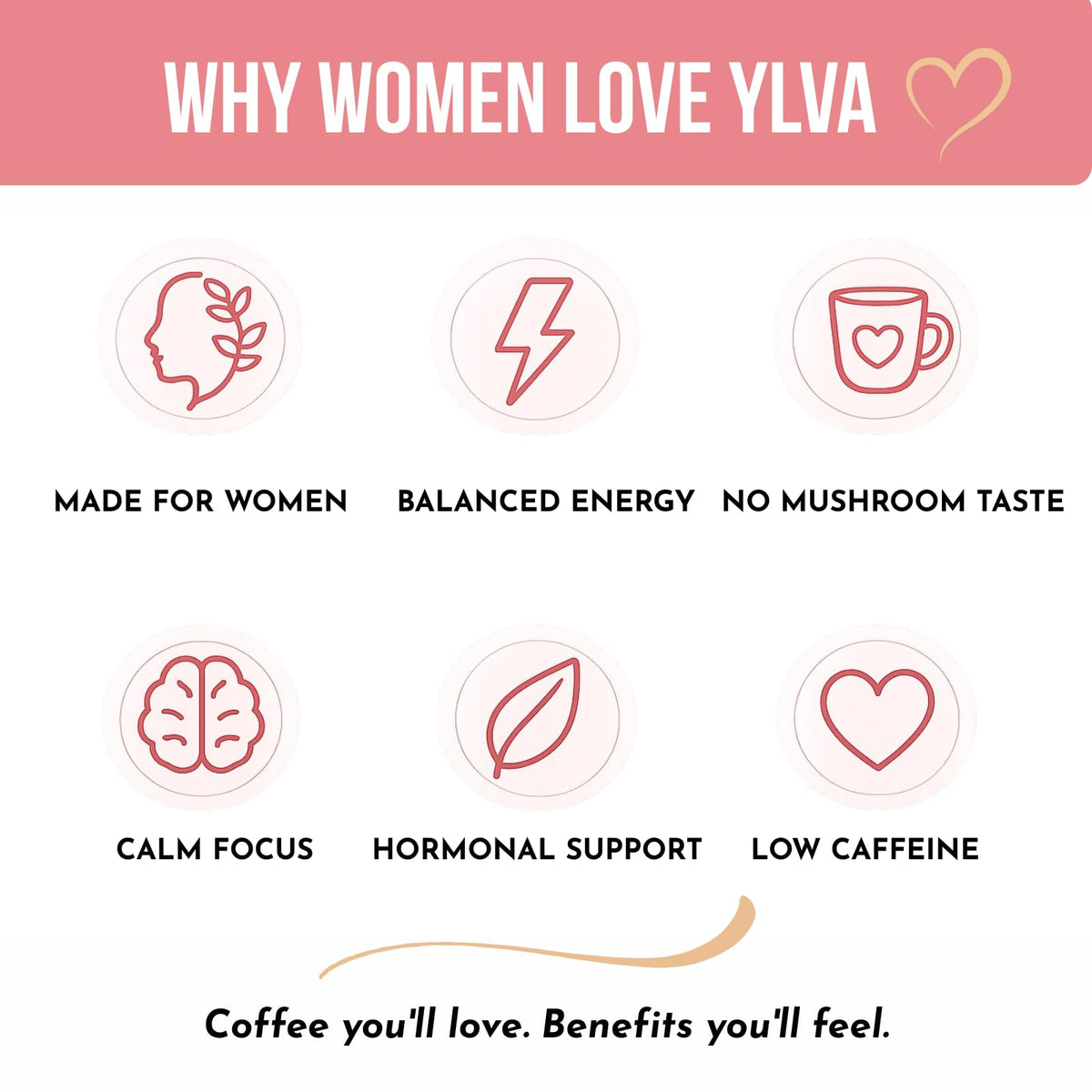 Détail des ingrédients du Café aux Champignons Ylva Blends