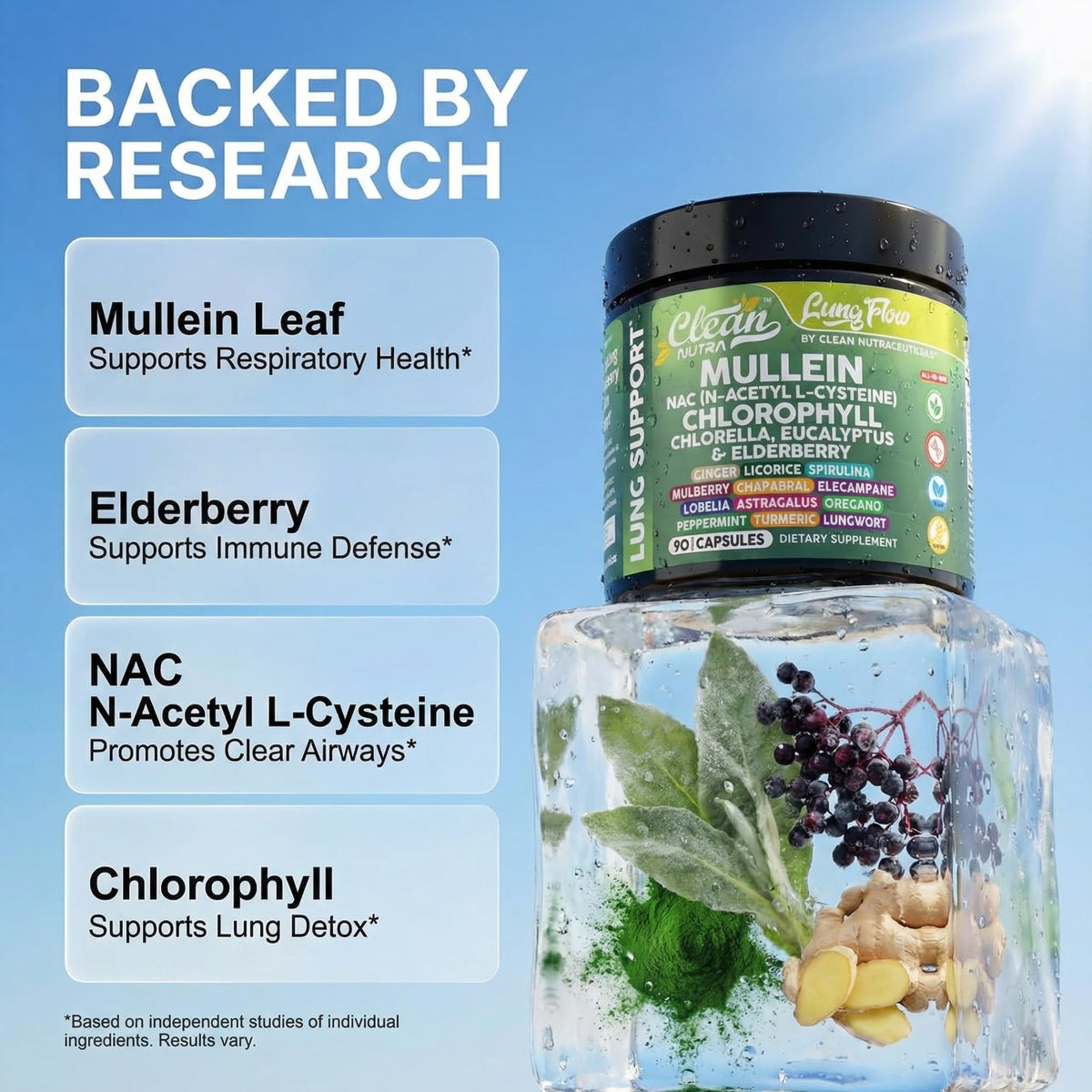 Détail des ingrédients du Clean Nutraceuticals Extrait de Feuille de Molène