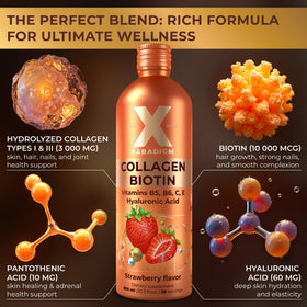 Détail des ingrédients du collagène liquide XParadigm