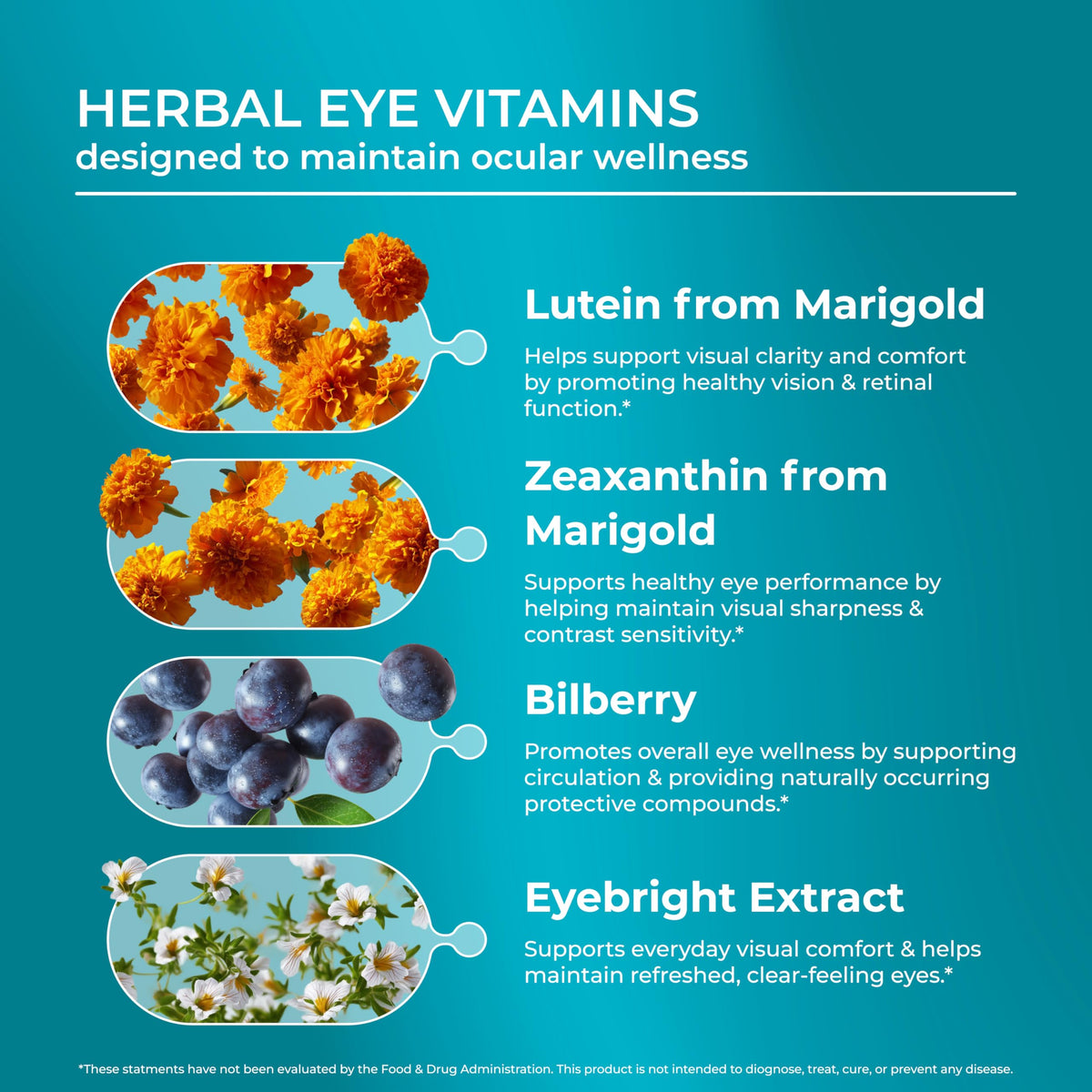 Détail des ingrédients du complément alimentaire Vision PUREHEALTH RESEARCH