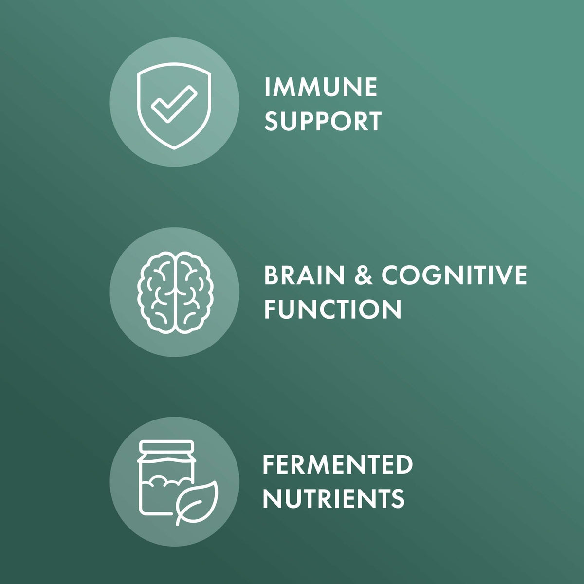 Détail des ingrédients du Complexe de Champignons Fermentés Bio de Dr. Mercola