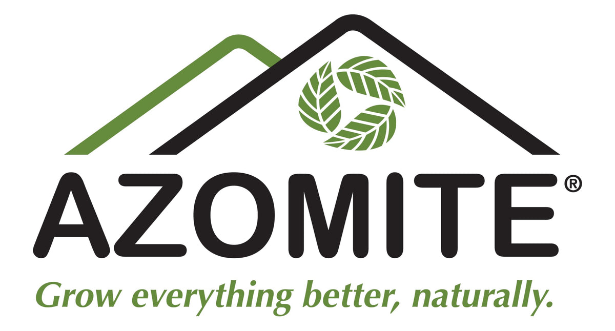 Détail des particules Azomite en gros plan