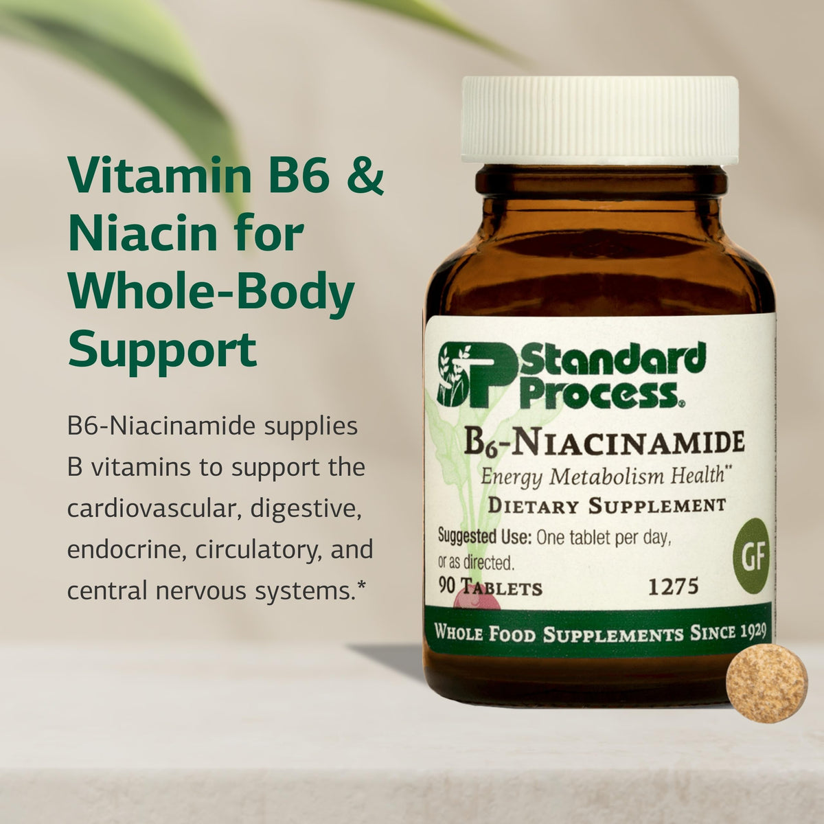 Détail des tablettes Standard Process B6-Niacinamide