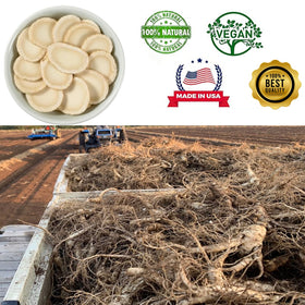 Détail des tranches de ginseng américain DABC OAK LAND