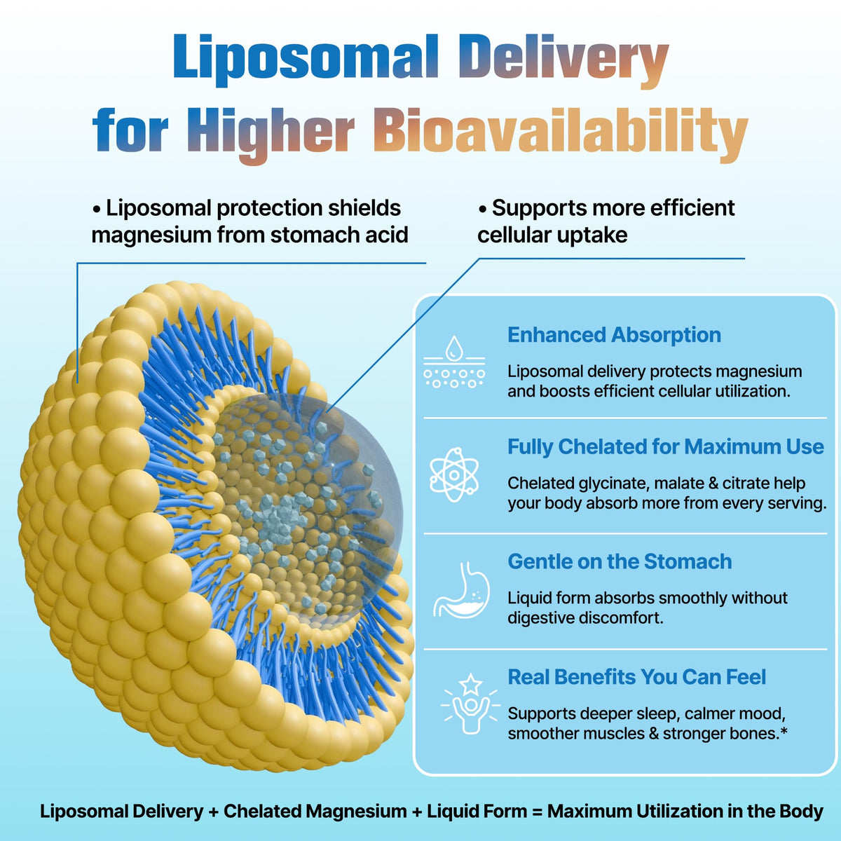 Détail du bouchon du flacon de magnésium liposomal Nexalo rithu