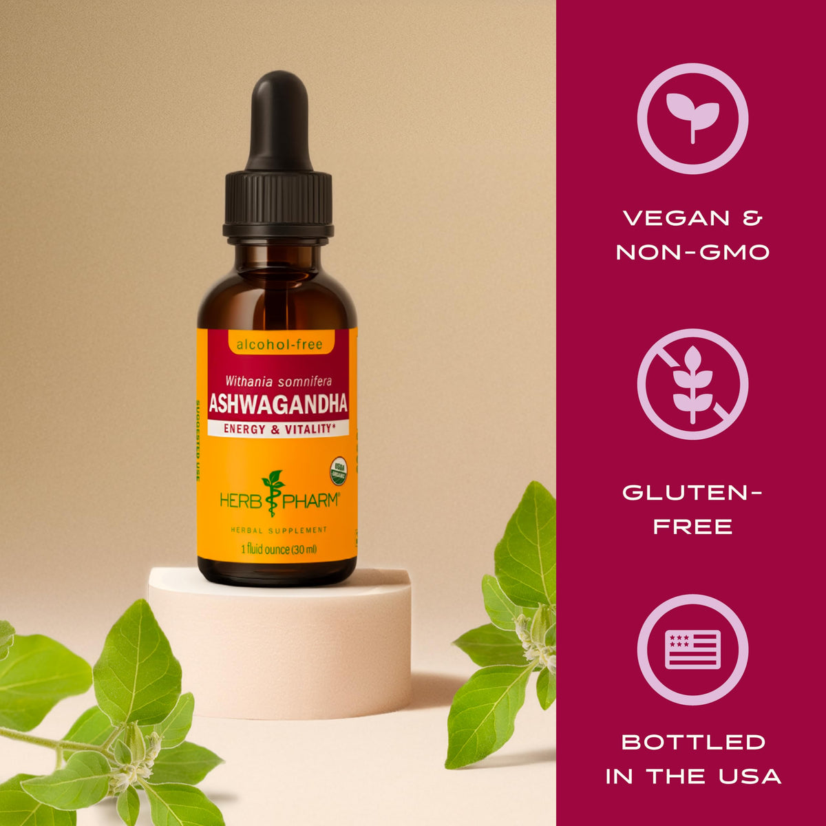 Détail du compte-gouttes de l'extrait d'Ashwagandha
