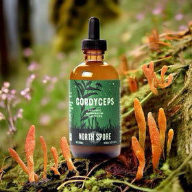 Détail du compte-gouttes de la Tincture de Cordyceps