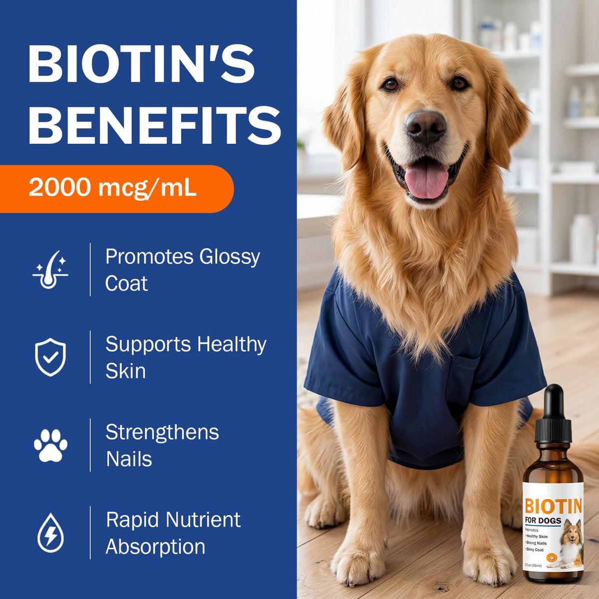 Détail du dos de la bouteille de biotine pour chiens Besgiful
