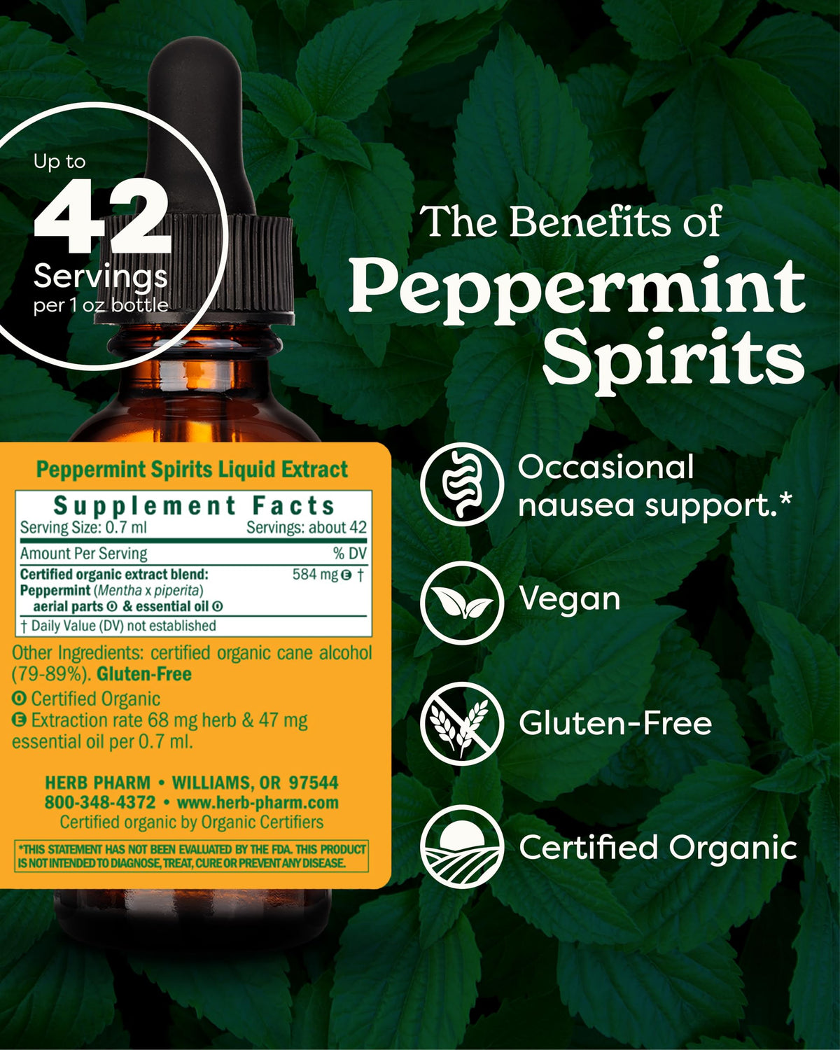 Détail du flacon de teinture de menthe poivrée Herb Pharm