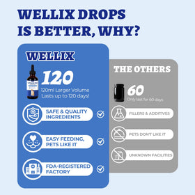 Détail du flacon de Wellix B12 liquide avec bouchon