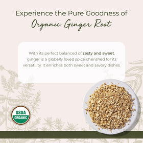 Détail du gingembre séché bio Starwest Botanicals
