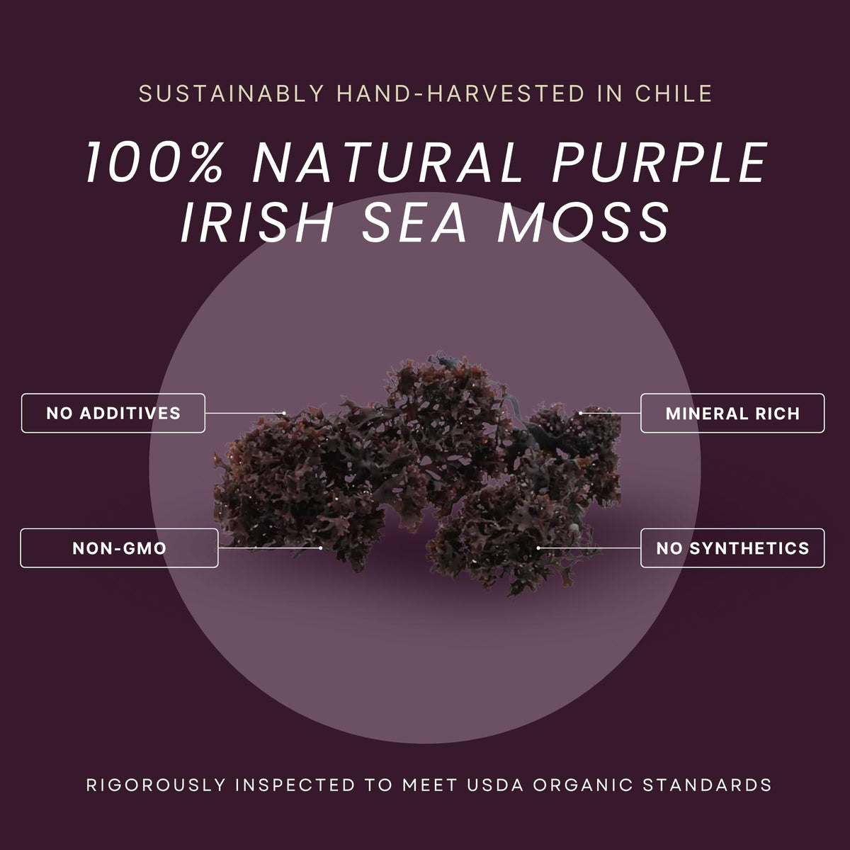 Détail du sachet d'Irish Sea Moss Bio, face avant