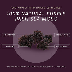 Détail du sachet d'Irish Sea Moss Bio, face avant