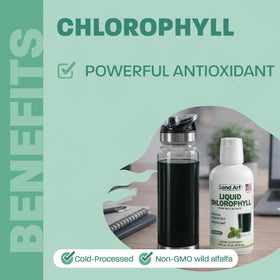Détail sur l'étiquette du flacon de chlorophylle, ingrédients et dosage