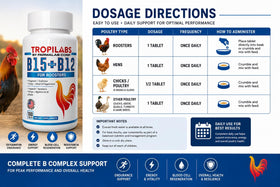 Détails de l'emballage de Farmalab B12 B15 pour Coqs