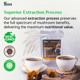Détails de l'emballage de la poudre d'extrait de champignon Chaga Sayan