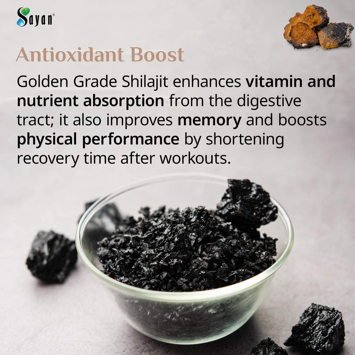 Détails de l'emballage de la poudre de Chaga et Shilajit Sayan