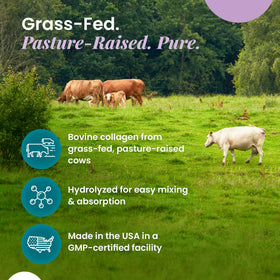Détails de l'emballage de la poudre de collagène Organic Excellence