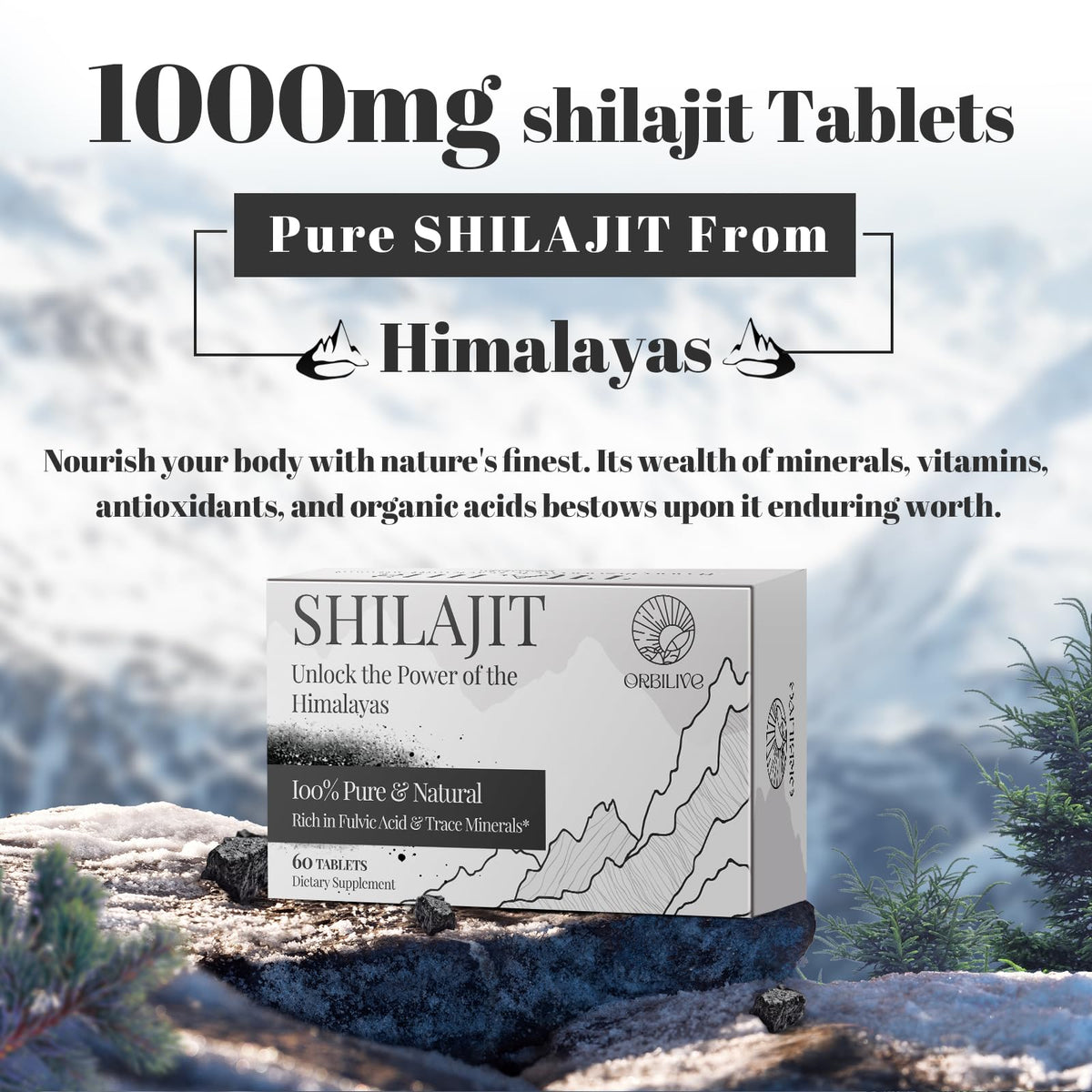 Détails de l'emballage des comprimés de Shilajit ORBILIVE