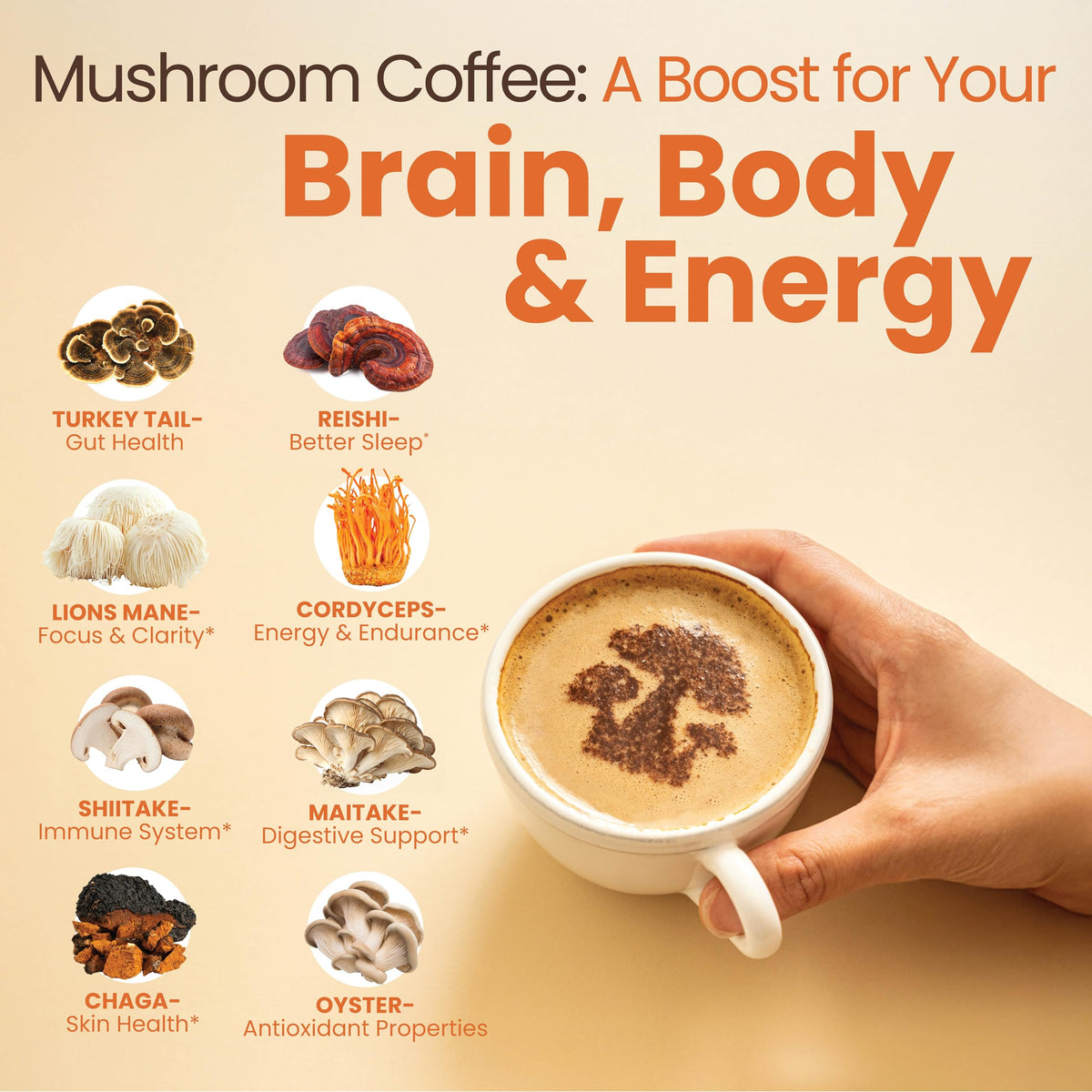 Détails de l'emballage du Café Instantané aux Champignons Focus Rapid Fire