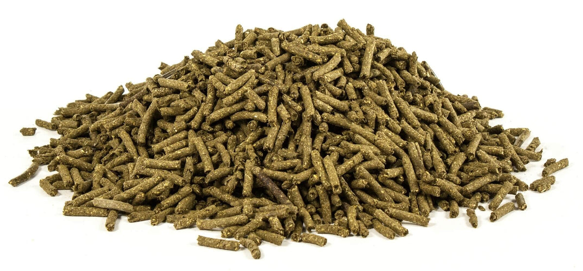 Détails de l'emballage UltraCruz Vitamine B-1 Équine