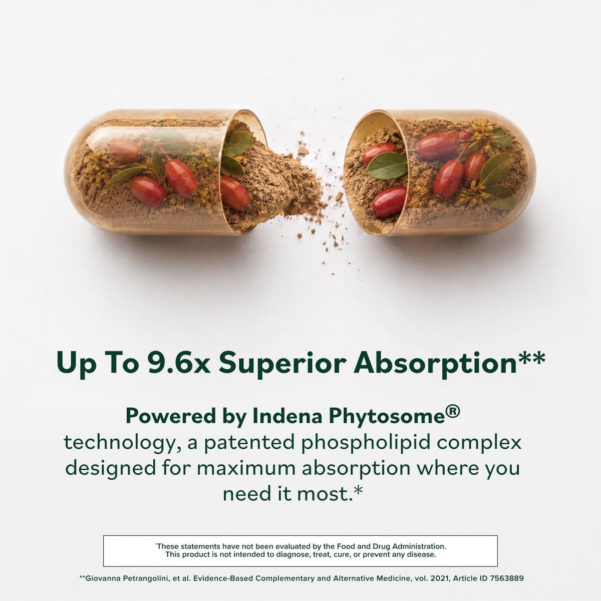 Détails de l'étiquette de Berberine Phytosome 550 mg
