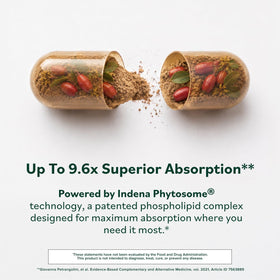 Détails de l'étiquette de Berberine Phytosome 550 mg