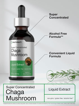 Détails de l'étiquette de l'extrait de champignon Chaga Horbäach