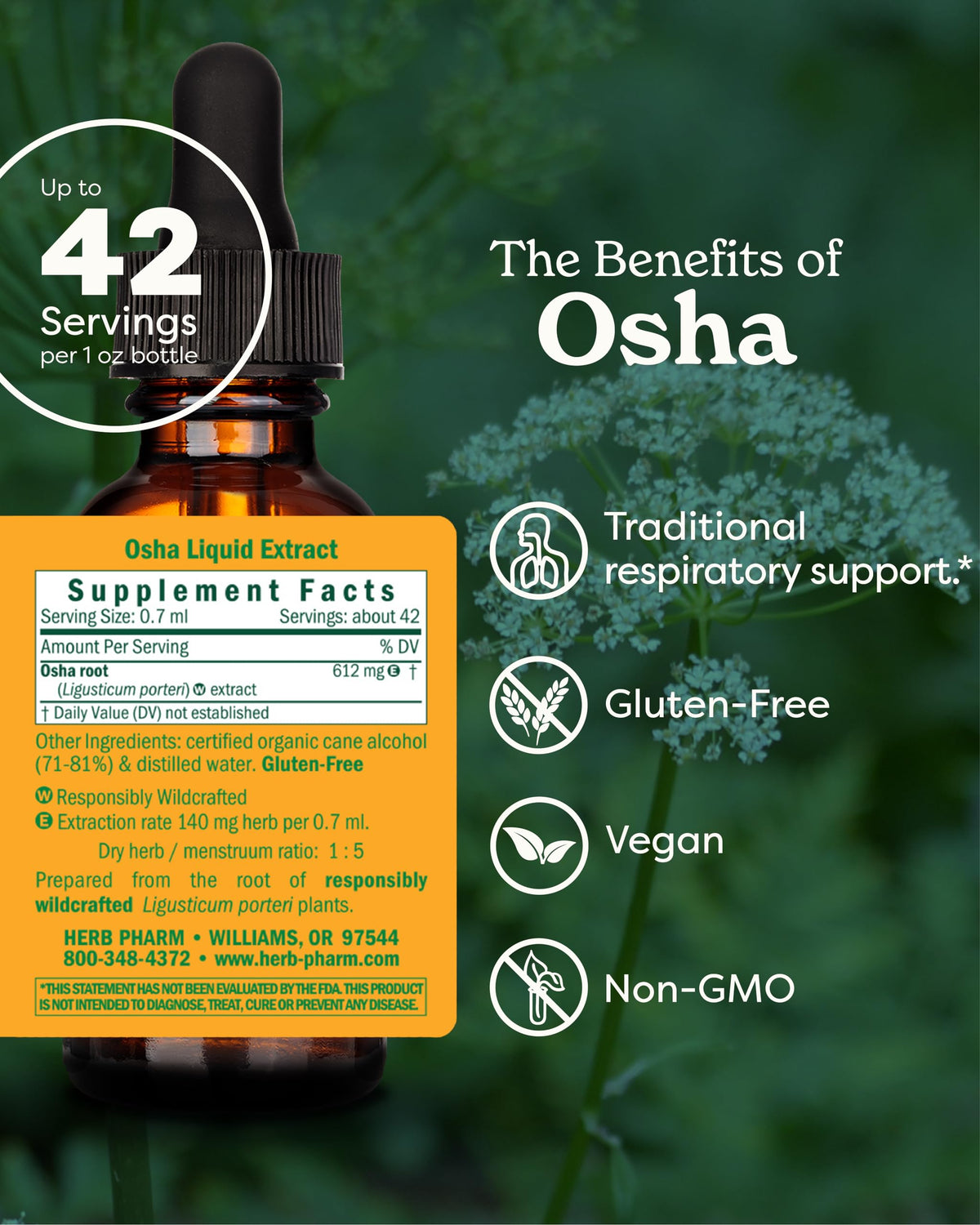 Détails de l'étiquette de l'extrait de racine Osha Herb Pharm