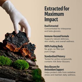 Détails de l'étiquette de la bouteille de Chaga FreshCap