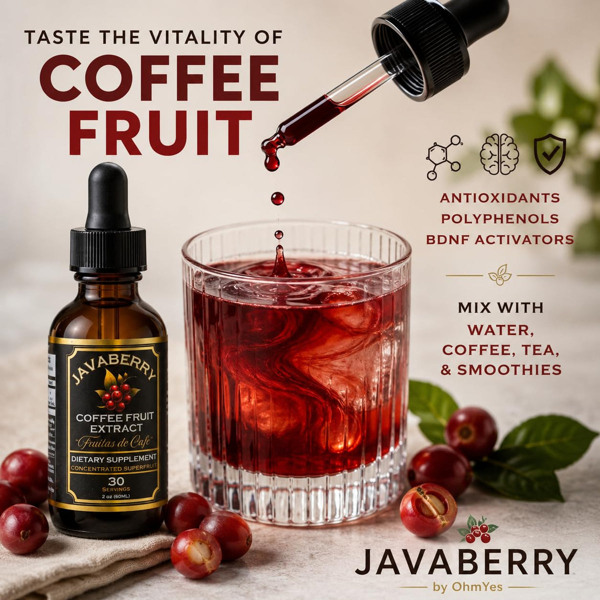 Détails de l'étiquette de la bouteille de Javaberry Extrait de Café