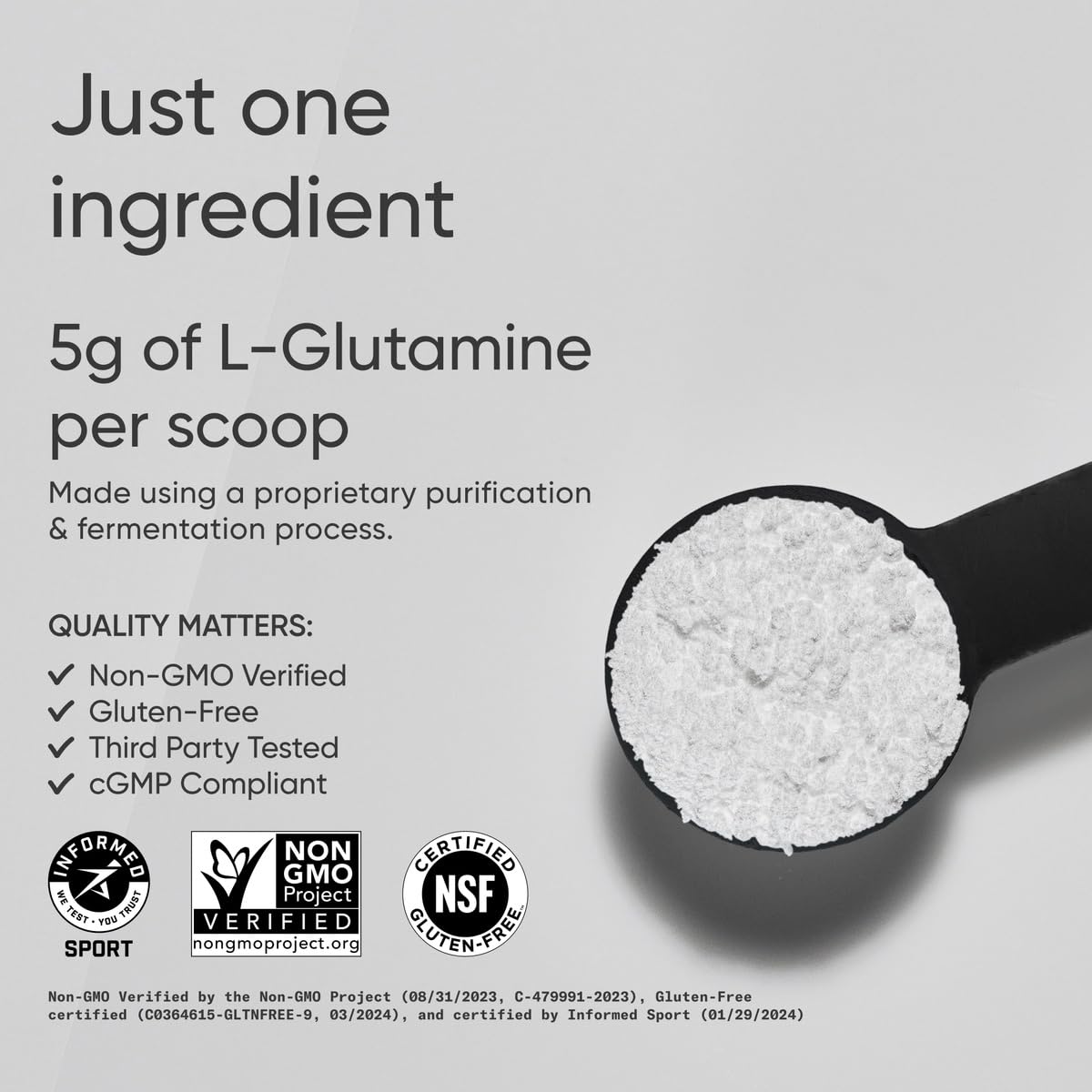 Détails de l'étiquette de la poudre de L-Glutamine Sports Research