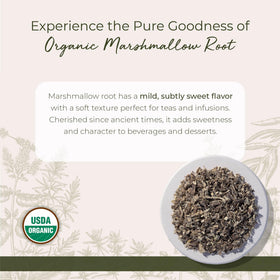 Détails de l'étiquette de la racine de guimauve bio Starwest Botanicals