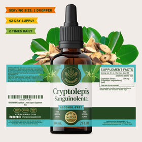 Détails de l'étiquette de la teinture de Cryptolepis HERBAMAMA