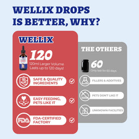 Détails de l'étiquette de Wellix L-Lysine Liquide 118 ml pour Chats et Chiens