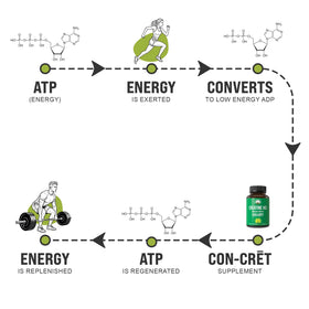 Détails de l'étiquette des capsules de créatine HCl Peak Performance