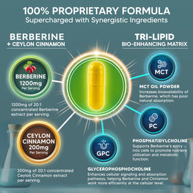 Détails de l'étiquette du complément Berbérine aSquared Nutrition