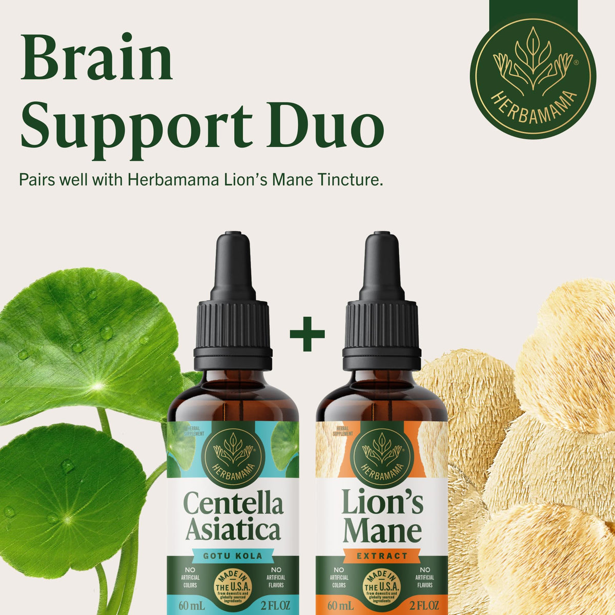 Détails de l'étiquette du complément HERBAMAMA Gotu Kola