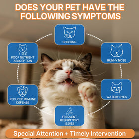 Détails de l'étiquette du complément L-Lysine WEALLIN pour chats