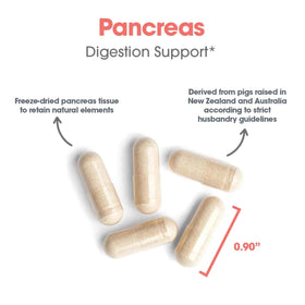 Détails de l'étiquette du flacon de Pancreas Glandulaire 425 mg